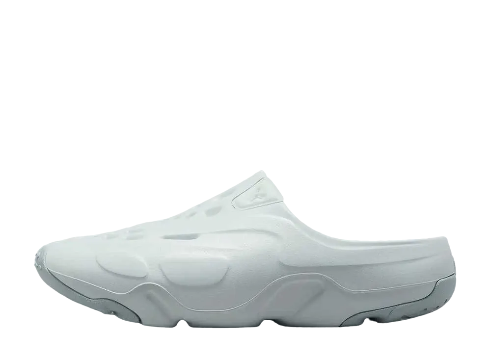 ナイキ ジョーダン ローム "グレースケール"