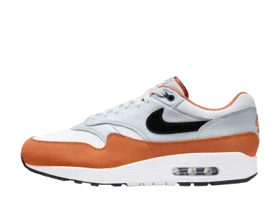 Nike Air Max 1 "Monarch"