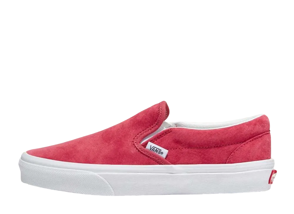 バンズ クラシック スリッポン "ホリーベリー"