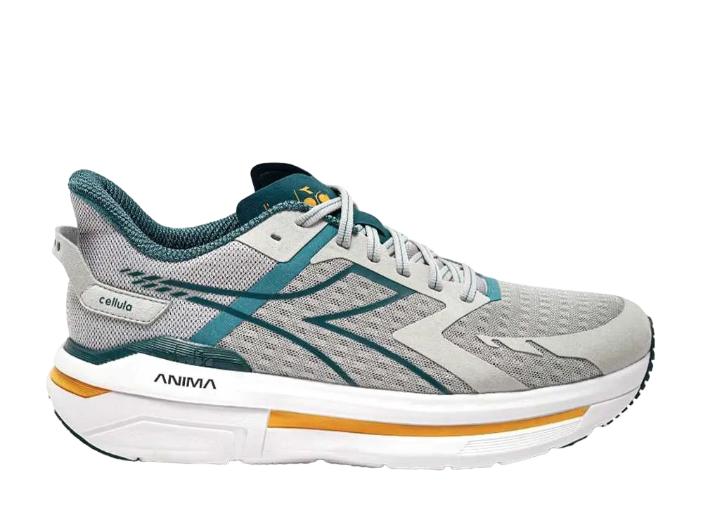 ディアドラ チェルラ "シルバー/メディテラネア"