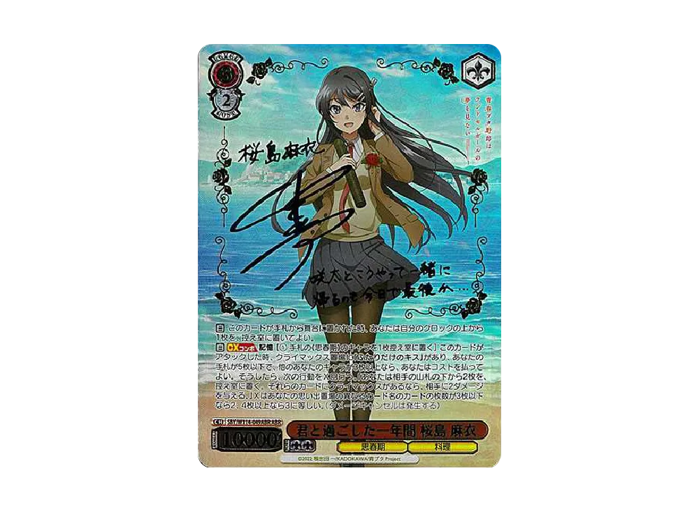 君と過ごした一年間 桜島 麻衣 ABR [SBY/W114-049ABR