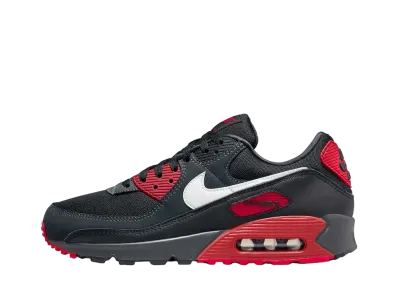 Nike Air Max 90 "Anthracite/Mystic Red"