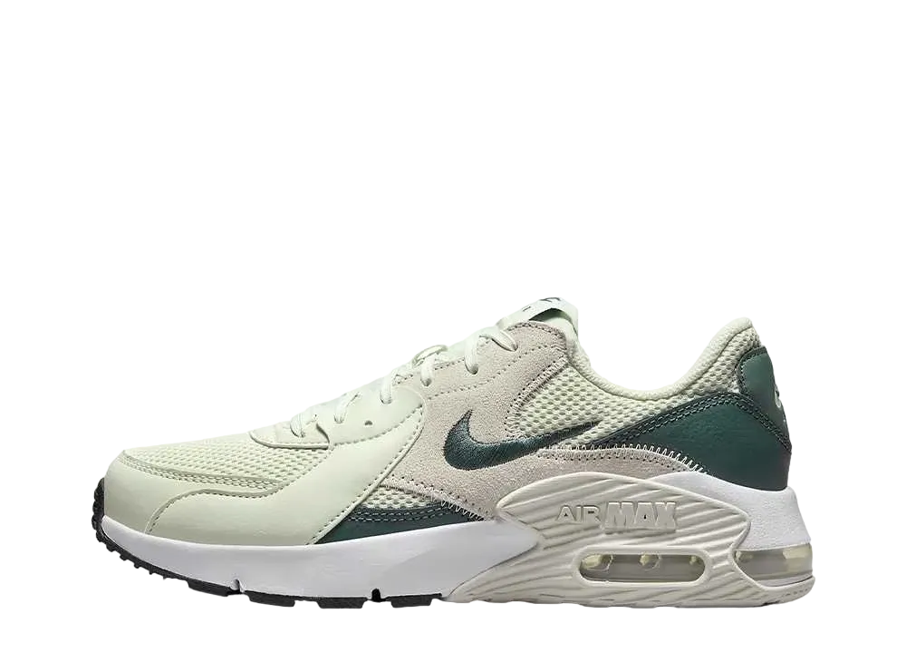ナイキ ウィメンズ エアマックス エクシー "シーグラス/ホワイト/サミットホワイト/ヴィンテージグリーン"