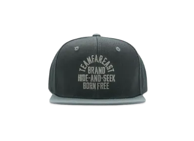 Hide and Seek College Baseball CAP(24ss) "BLACK/GRAY"