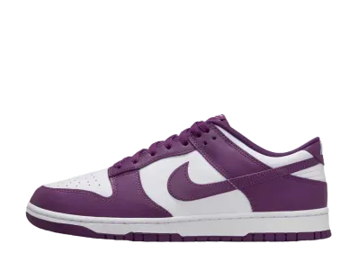 ナイキ ダンク ロー レトロ "バイオテック/ホワイト"