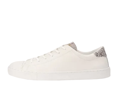 Converse All Star Coupe Pointanimal OX "White/Python"