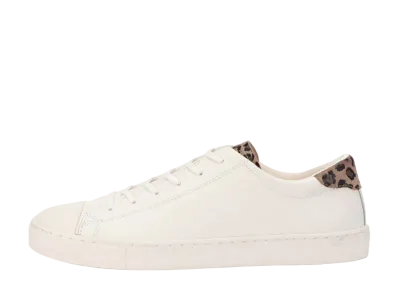 Converse All Star Coupe Pointanimal OX "Off White/Leopard"