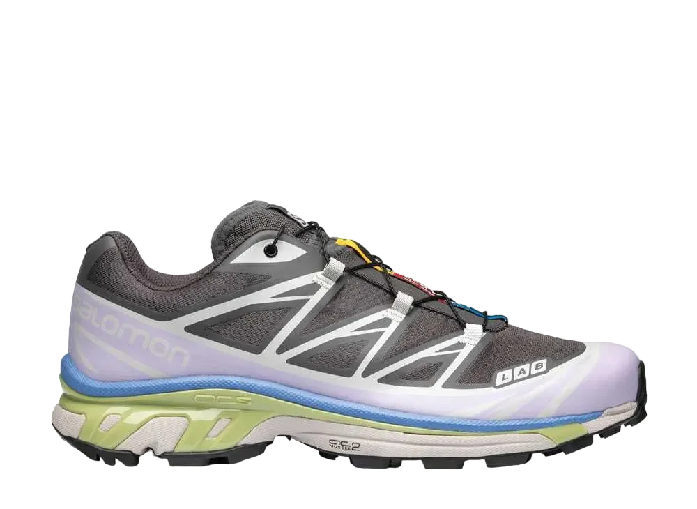 Salomon XT-6 "Magnet/Ashes Of Roses/Winter Pear"