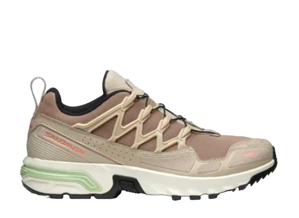 Salomon ACS + "Natural/Cement/Fresh Salmon"