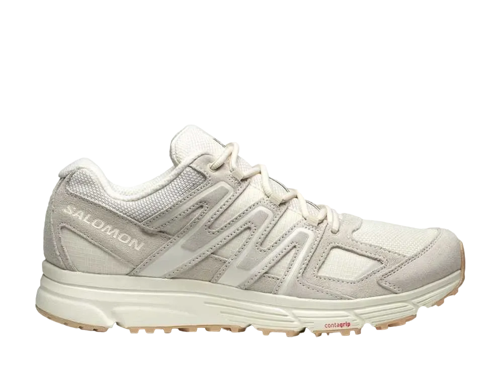 サロモン Xミッション4 スウェード "レイニーデイ/バニラアイス/ケルプ"