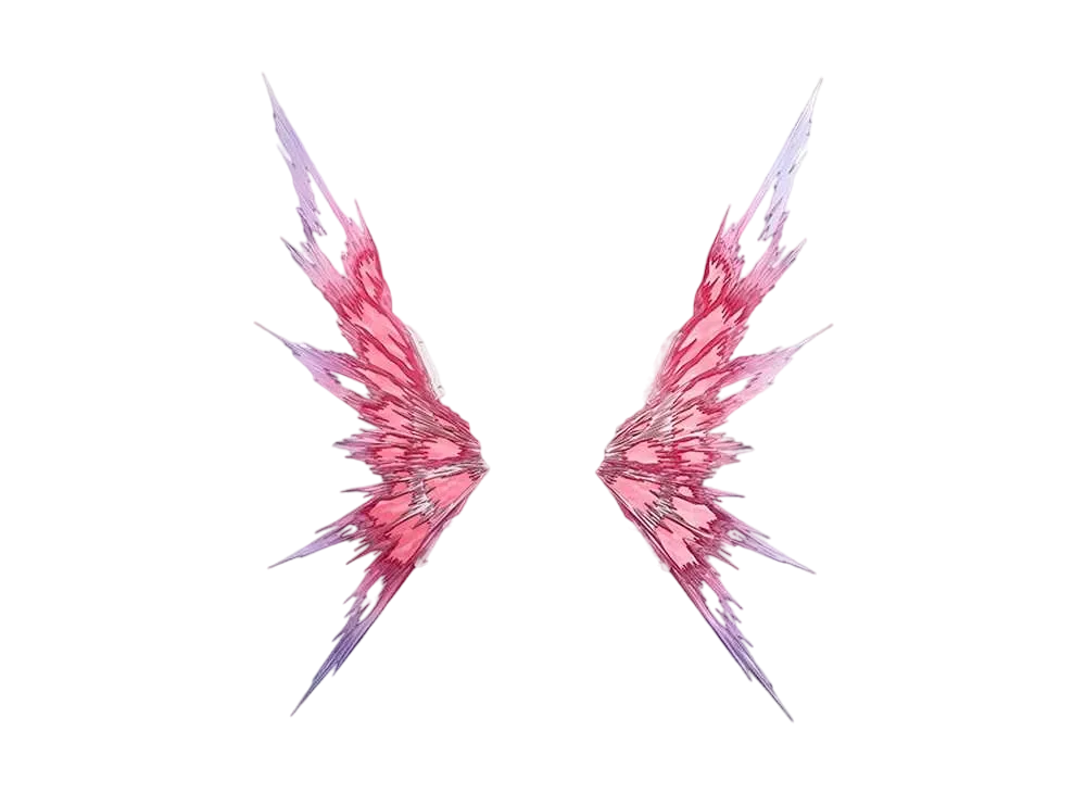 BANDAI "METAL BUILD" -Mobile Suit Gundam SEED Destiny- Wings set of options for the Destiny Gundam light