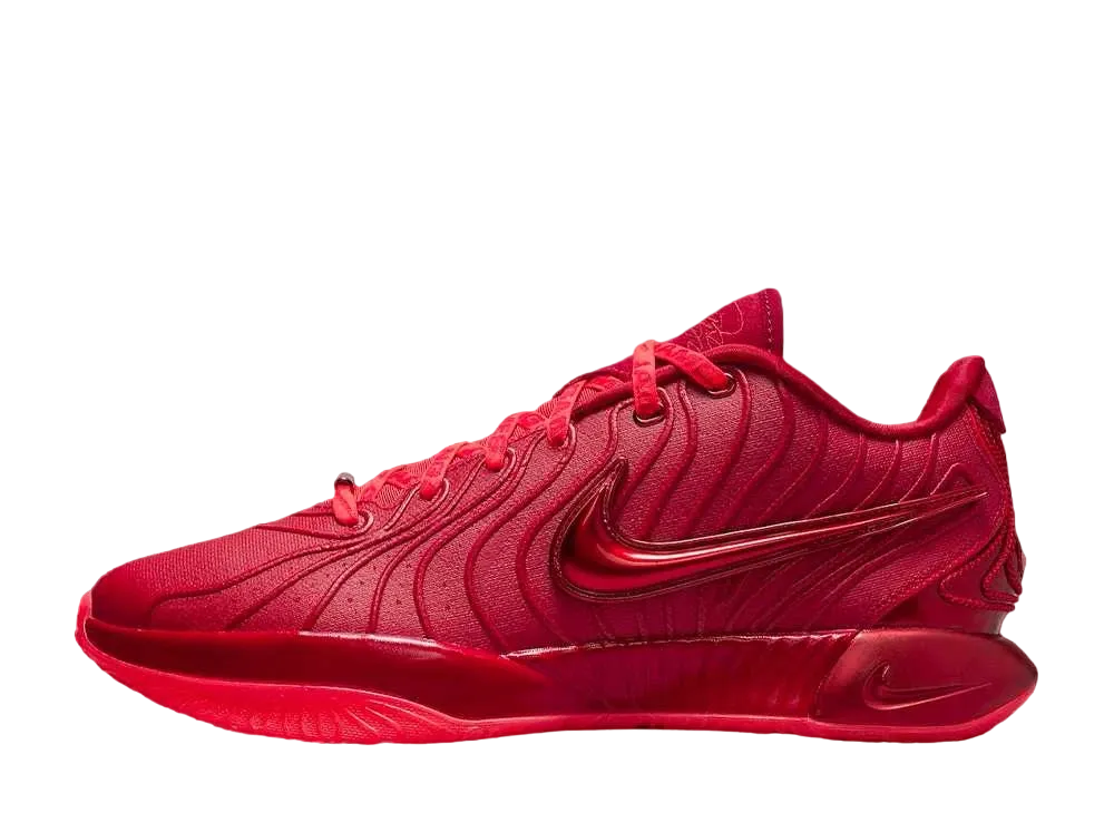 Nike LeBron 21 "James Gang"