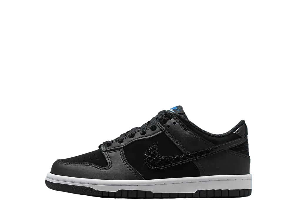 ナイキ GS ダンク ロー "ブルー/ブラック/ホワイト/セイル"