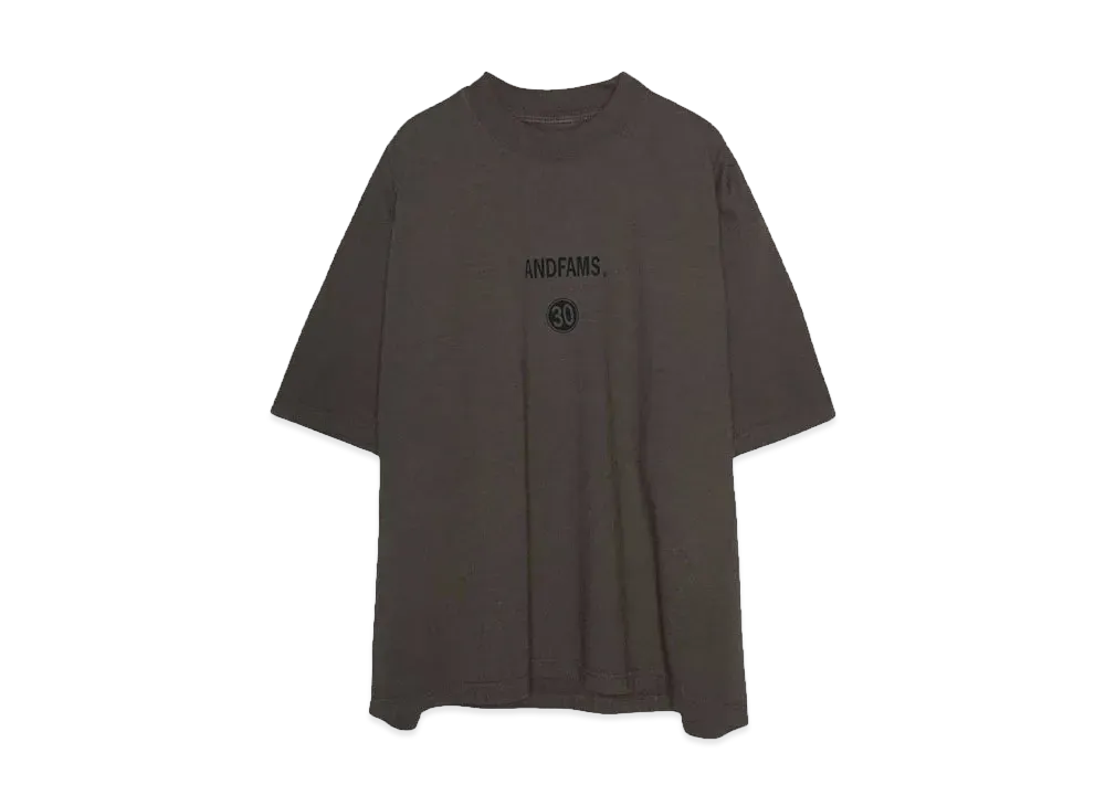 ANDFAMILYS Pigment Dye Tee -Anniv 30- "MOCHA"
