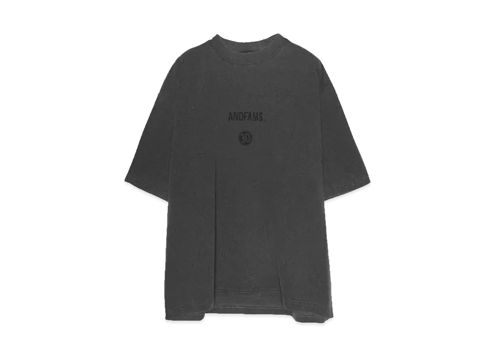ANDFAMILYS Pigment Dye Tee -Anniv 30- "SHADOW"
