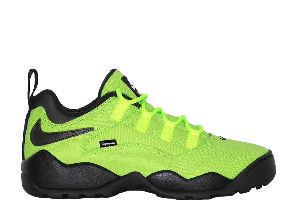 Supreme × Nike SB Darwin Low "Green"
