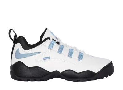 Supreme × Nike SB Darwin Low "White"