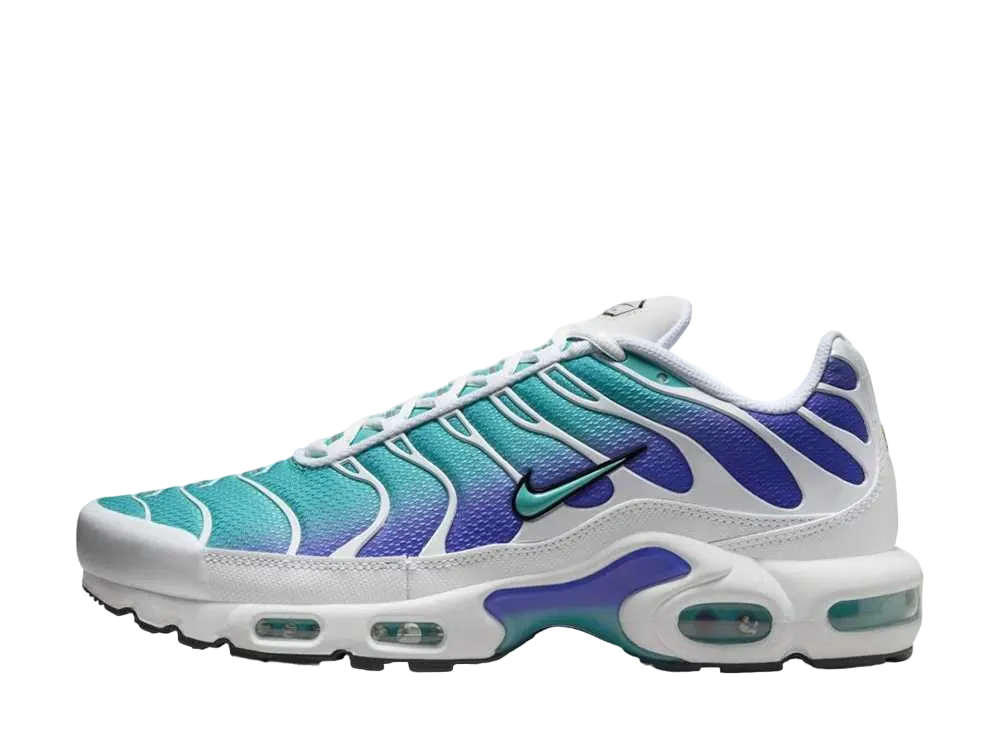 Nike Air Max Plus "Dusty Cactus"