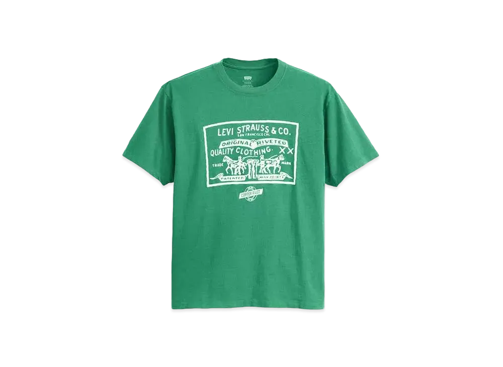 LEVI'S Garment Dye Cracked Print "Green"