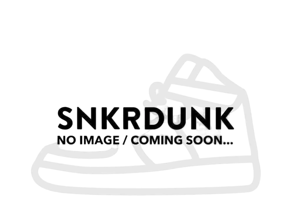 ロエベ ウィメンズ テラバルカ レースアップスニーカー プリントキャンバス "マルチカラー"