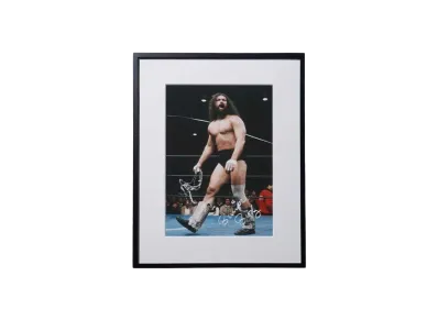 【予約商品】超獣コンビ x 週刊プロレス Signed Framed Picture -3- "MULTI"
