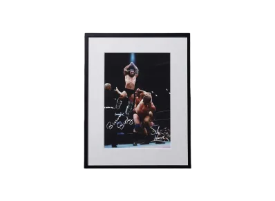 【予約商品】超獣コンビ x 週刊プロレス Signed Framed Picture -9- "MULTI"