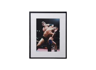 【予約商品】超獣コンビ x 週刊プロレス Signed Framed Picture -10- "MULTI"
