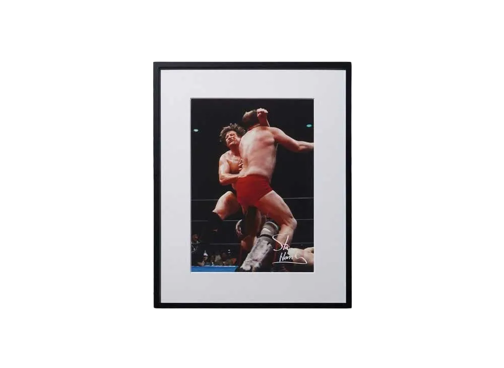 【予約商品】超獣コンビ x 週刊プロレス Signed Framed Picture -14- "MULTI"
