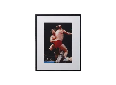 【予約商品】超獣コンビ x 週刊プロレス Signed Framed Picture -14- "MULTI"