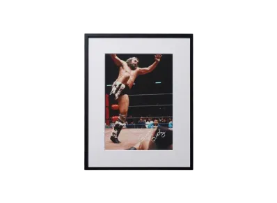 【予約商品】超獣コンビ x 週刊プロレス Signed Framed Picture -15- "MULTI"