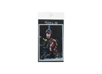 超獣コンビ x 週刊プロレス Sticker -9- "MULTI"