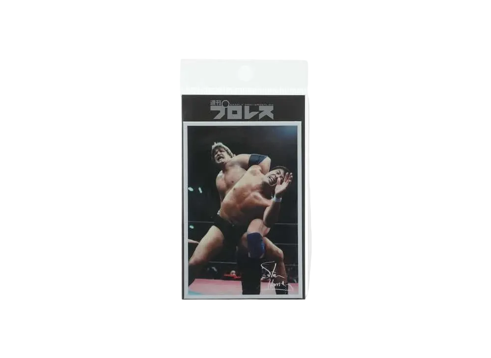 超獣コンビ x 週刊プロレス Sticker -10- "MULTI"