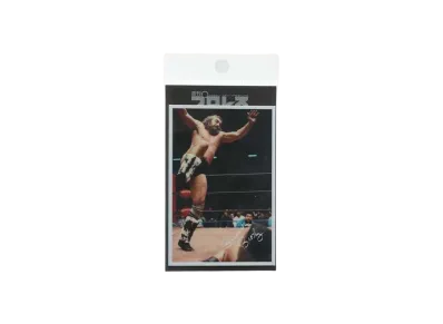 超獣コンビ x 週刊プロレス Sticker -15- "MULTI"