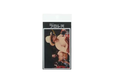 超獣コンビ x 週刊プロレス Sticker -20- "MULTI"