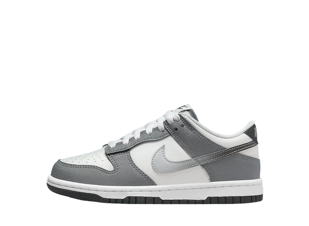ナイキ GS ダンク ロー "クールグレイ"