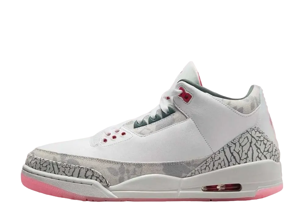 Nike Air Jordan 3 Retro "Wings"