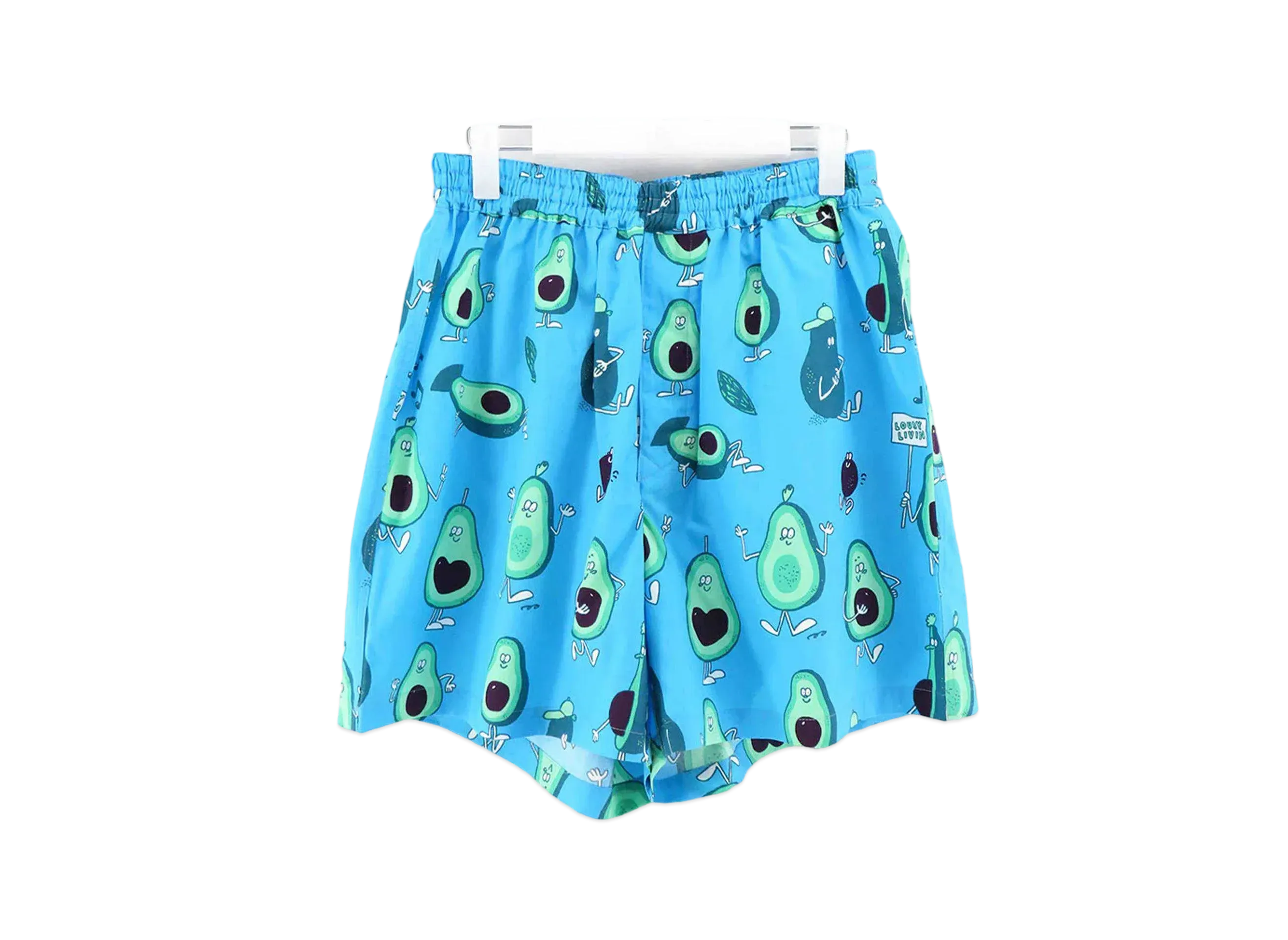eYe JUNYA WATANABE MAN x Lousy Livin Cotton Broad Print W Name Shorts #2 "Blue/Green"