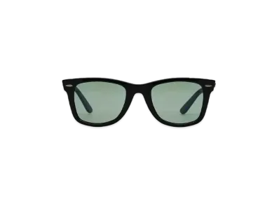 Ray-Ban WAYFARER "BLACK x GREEN"