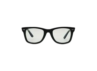 Ray-Ban WAYFARER "BLACK x GREY"