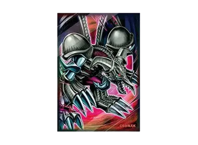 Yu-Gi-Oh Rushduel Special protector Black Skull Dragon