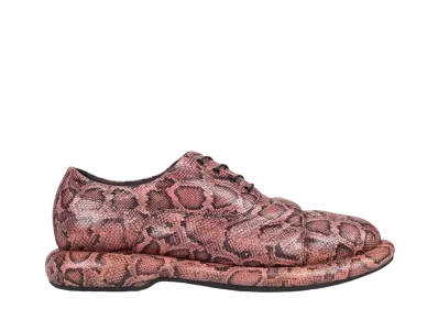 Martine Rose × Clarks Women's Oxford "Rose Snake"
