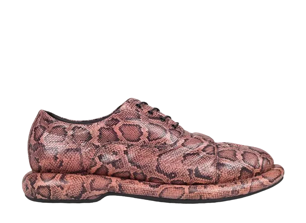 Martine Rose × Clarks Oxford "Rose Snake"