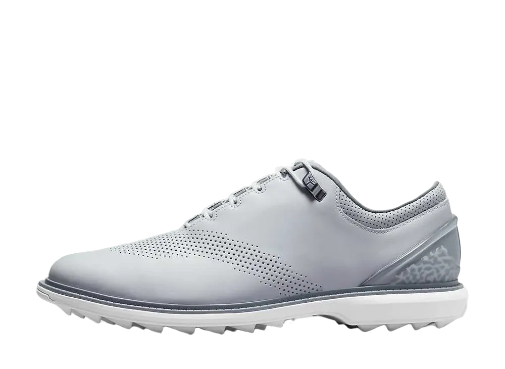 Nike Jordan ADG 4 "Wolf Grey/Smoke Grey/White"