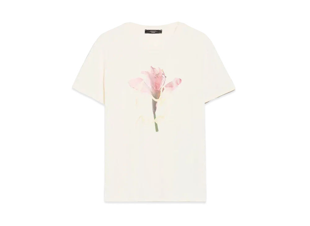 Max Mara Nervi Pure Cotton Printed Jersey T-shirt "Ivory"