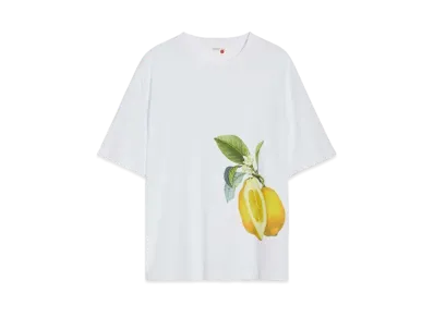 Max Mara Nebbie Floral Print T-shirt "Optical White"