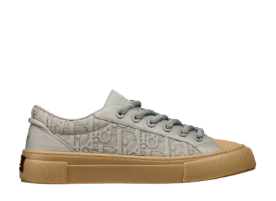 Dior x Stone Island B33 Sneaker Limited Edition "Gray"