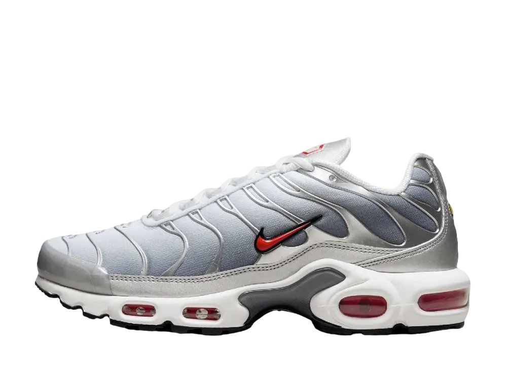ナイキ エアマックスプラス "シルバーバレット"