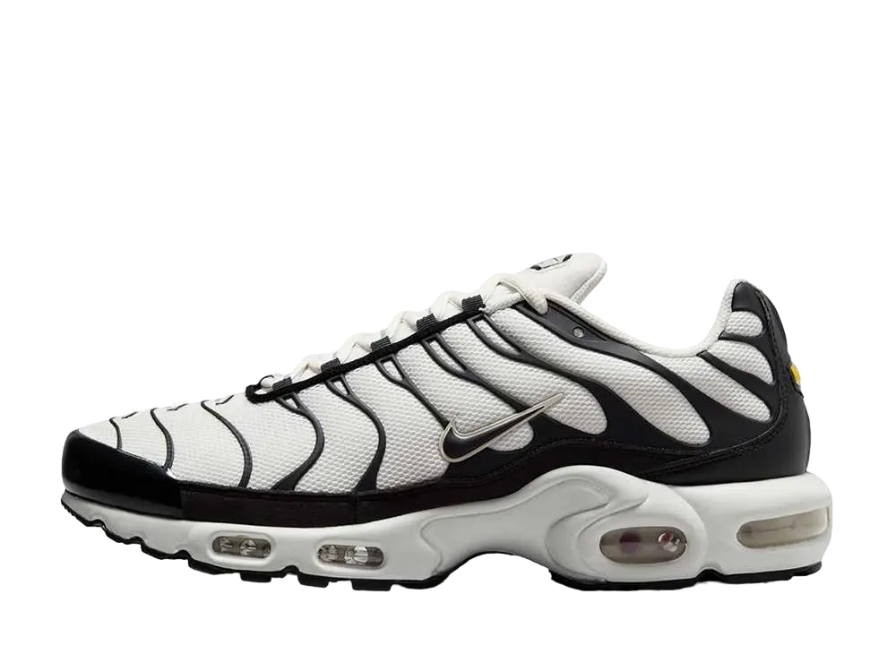 Nike Air Max Plus "Panda"
