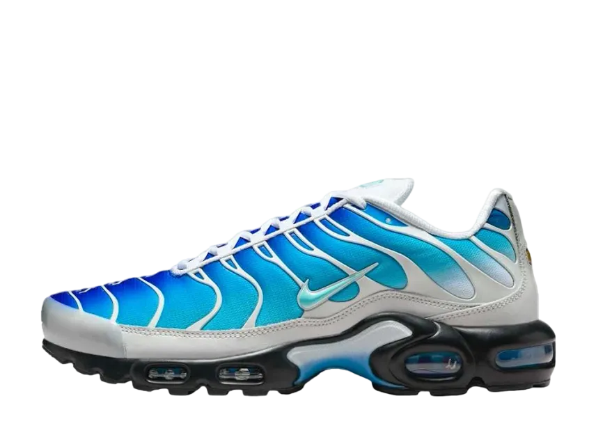 One Block Down × Nike Air Max Plus One Block Down × Nike Air Max Plus