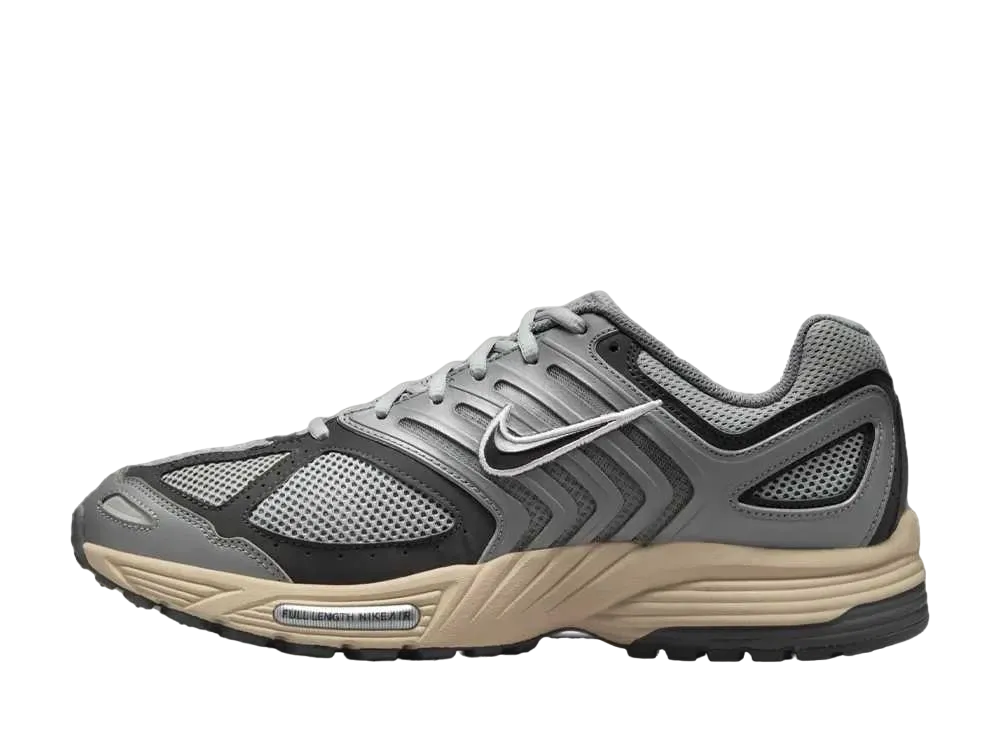 ナイキ エアペガサス 2K5 "ライトパミス"